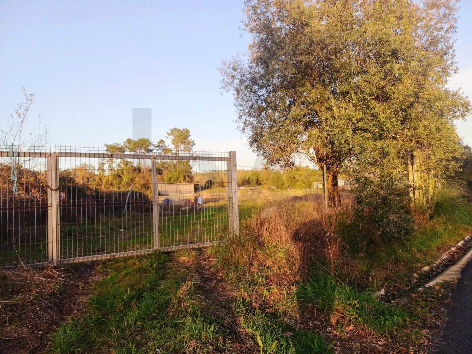 Terreno para Venda em Travassô e Óis da Ribeira Foto 5