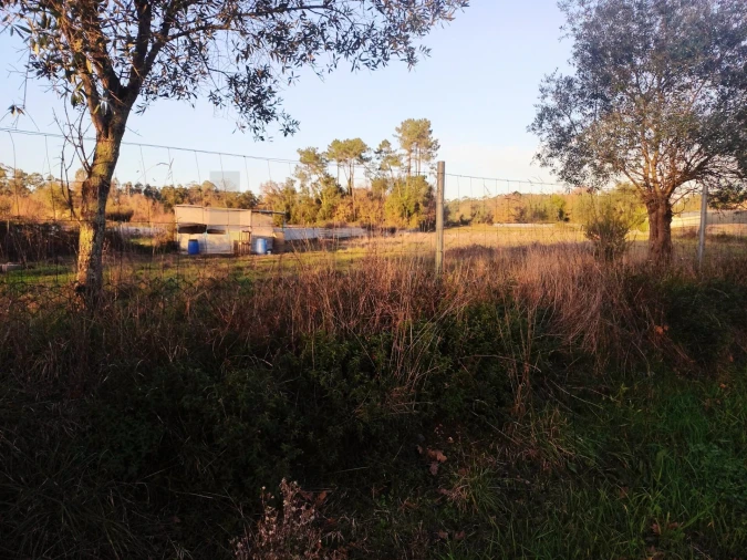 Terreno para Venda em Travassô e Óis da Ribeira Foto 7
