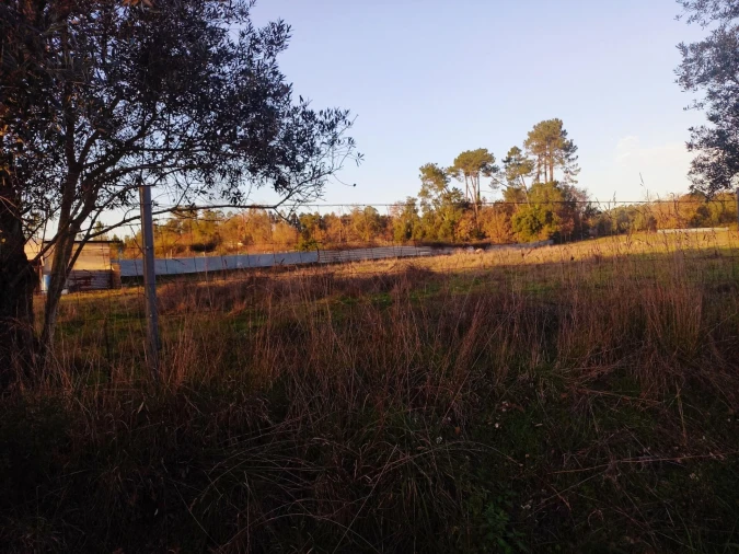 Terreno para Venda em Travassô e Óis da Ribeira Foto 6
