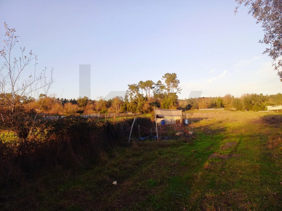 Terreno para Venda em Travassô e Óis da Ribeira Foto 9