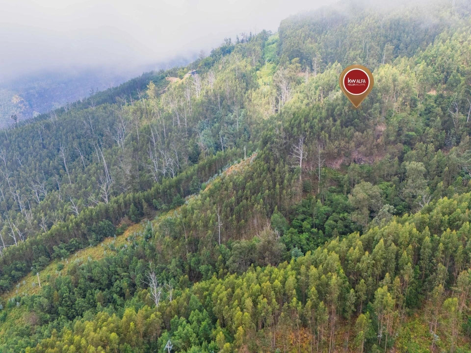 Terreno para Venda em Monte Foto 2