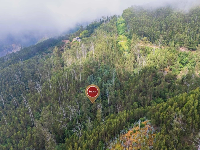 Terreno para Venda em Monte Foto 8