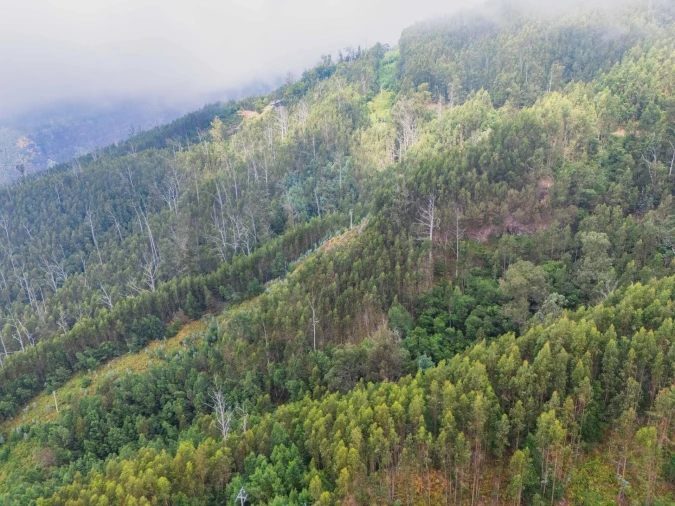 Terreno para Venda em Monte Foto 5