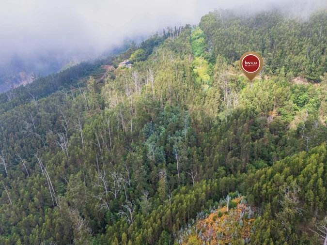 Terreno para Venda em Monte Foto 6