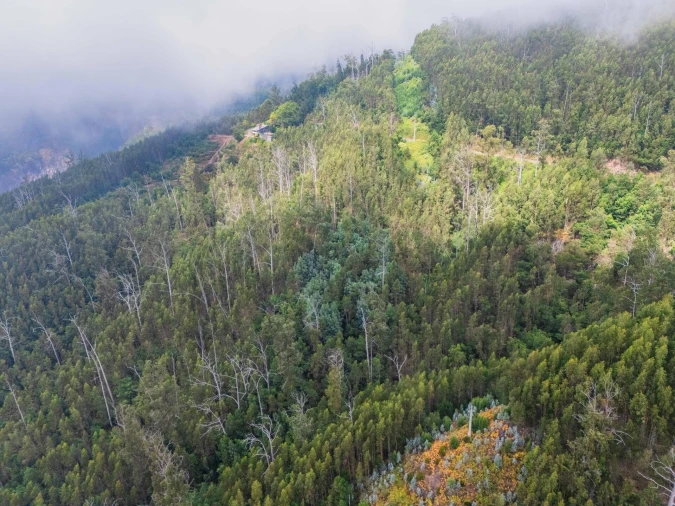Terreno para Venda em Monte Foto 9
