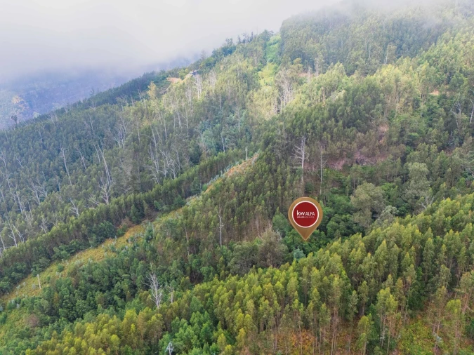 Terreno para Venda em Monte Foto 3