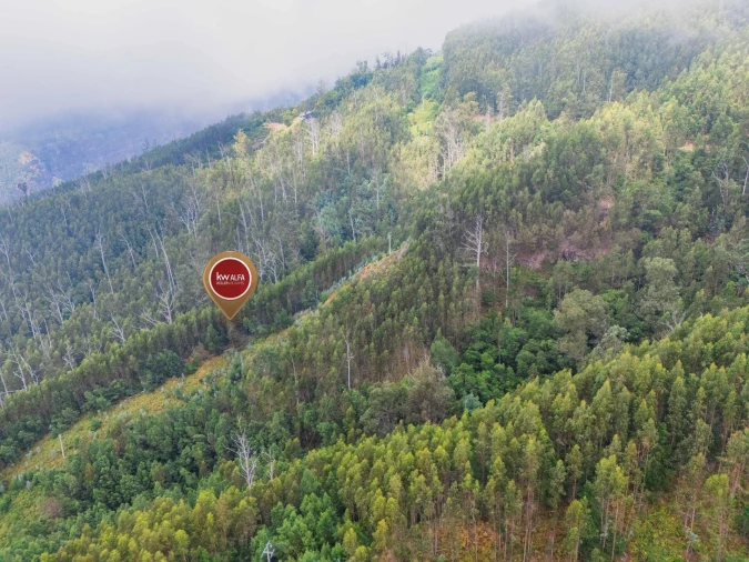 Terreno para Venda em Monte Foto 4