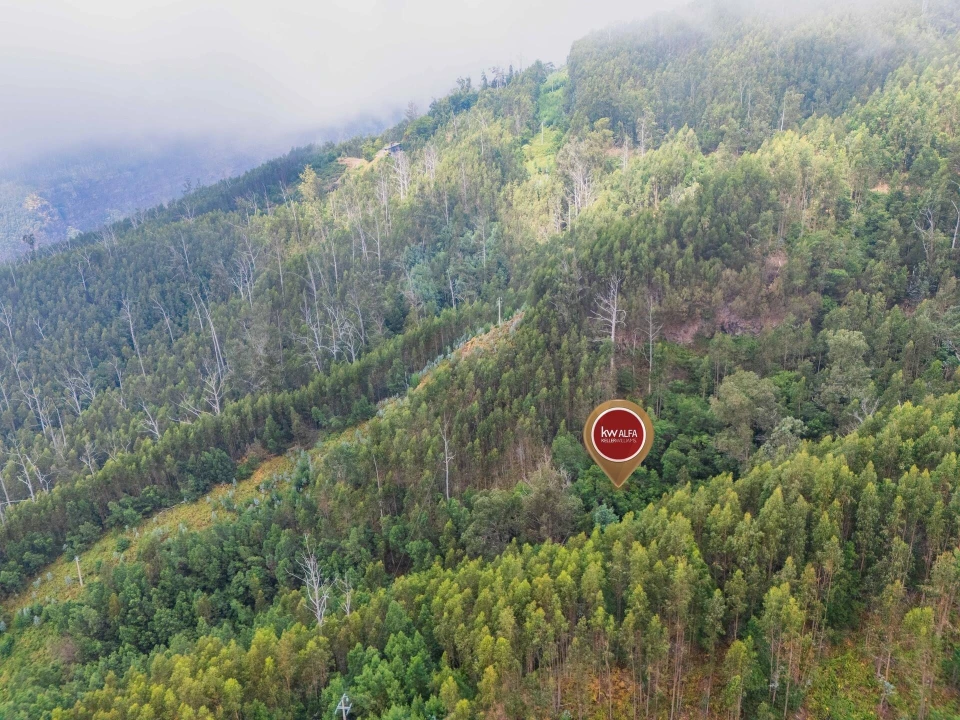 Terreno para Venda em Monte Foto 3