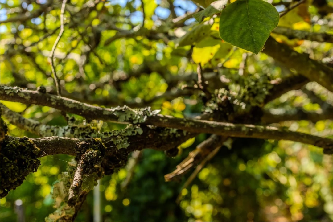Moradia T5 para Venda em Rio de Mouro Foto 23