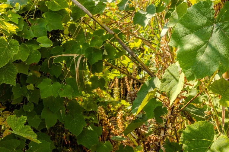Moradia T5 para Venda em Rio de Mouro Foto 22