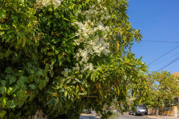 Moradia T5 para Venda em Rio de Mouro Foto 28