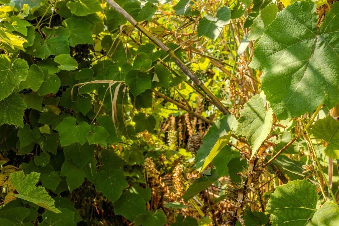Moradia T5 para Venda em Rio de Mouro Foto 22