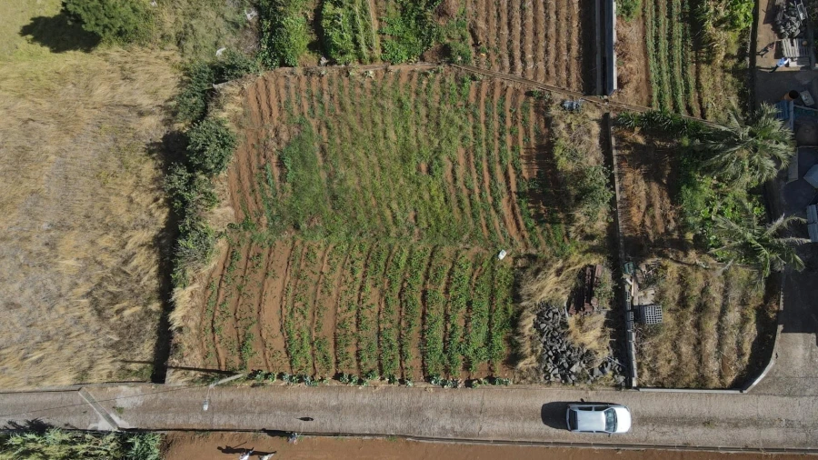 Terreno para Venda em Ponta do Pargo Foto 4