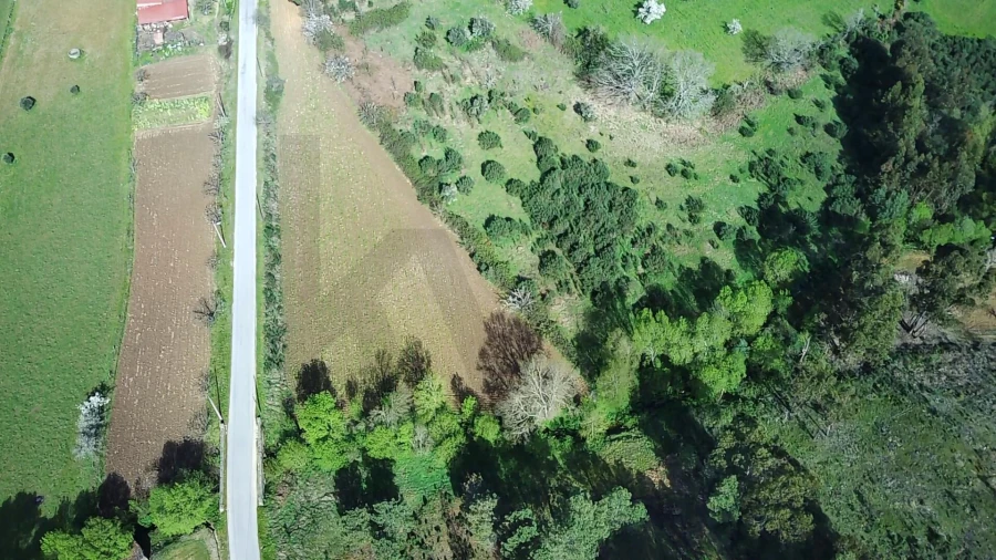 Terreno para Venda em Enxames Foto 3