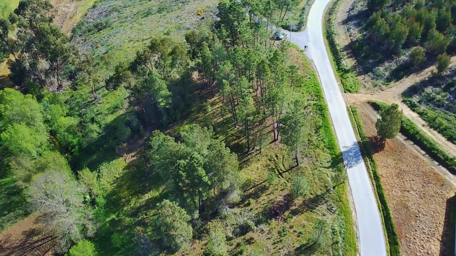 Terreno para Venda em Enxames Foto 11