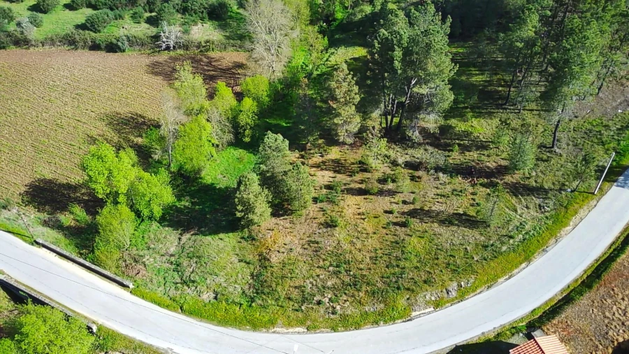 Terreno para Venda em Enxames Foto 6