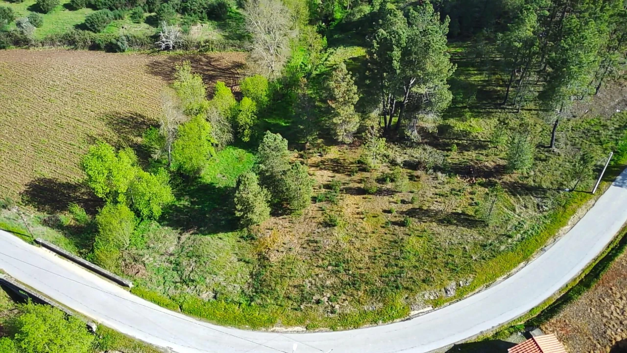 Terreno para Venda em Enxames Foto 6