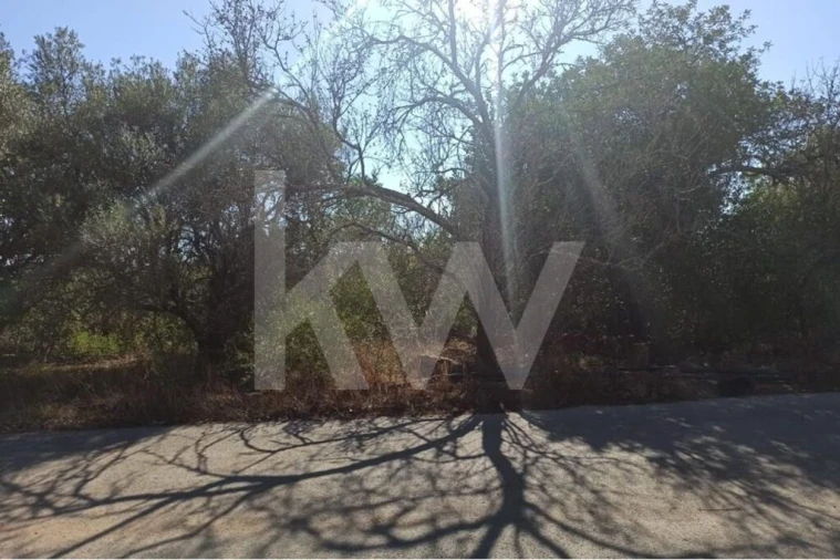 Moradia T5 para Venda em Paderne Foto 13