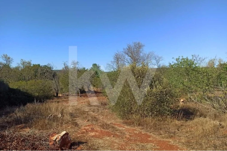 Moradia T5 para Venda em Paderne Foto 10