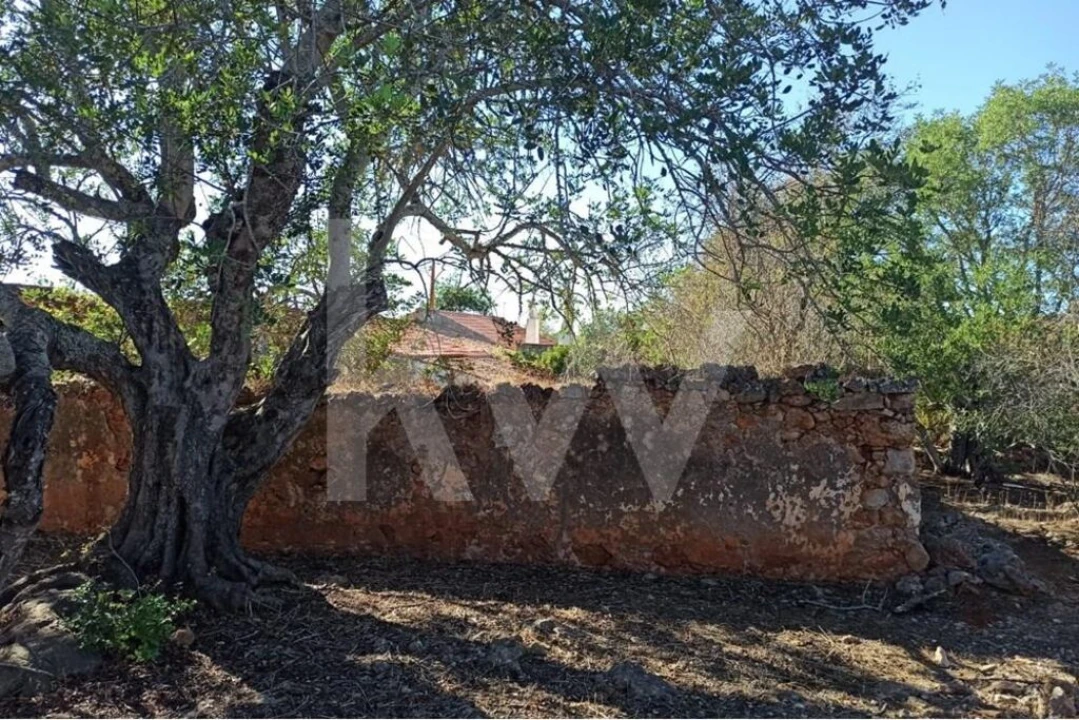 Moradia T5 para Venda em Paderne Foto 12