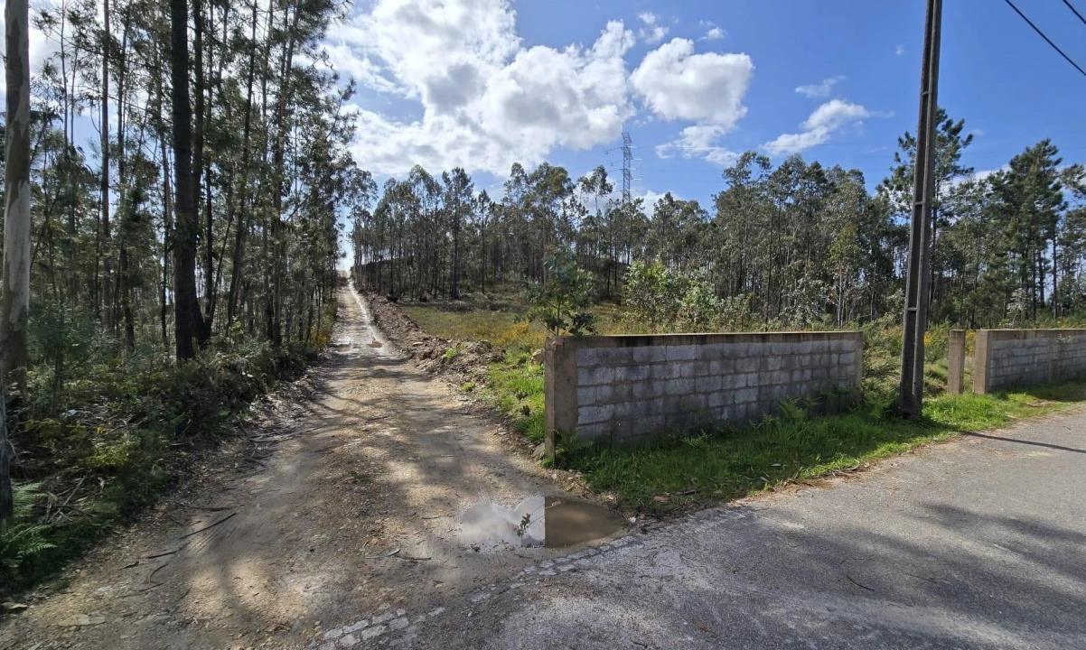 Terreno para Venda em Romariz Foto 1