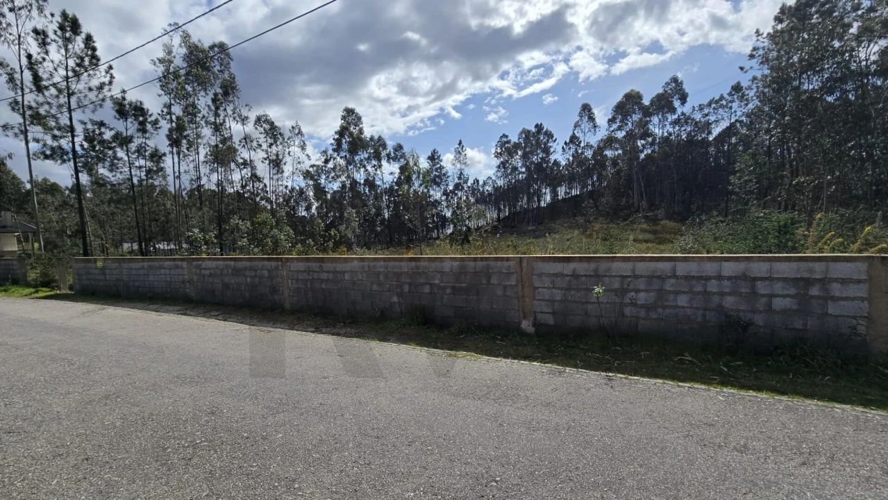 Terreno para Venda em Romariz Foto 2