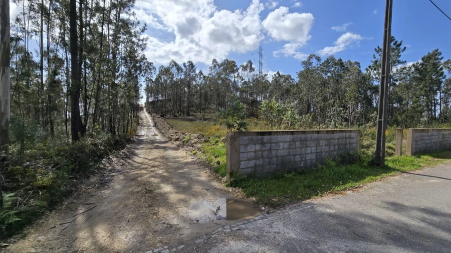 Terreno para Venda em Romariz
