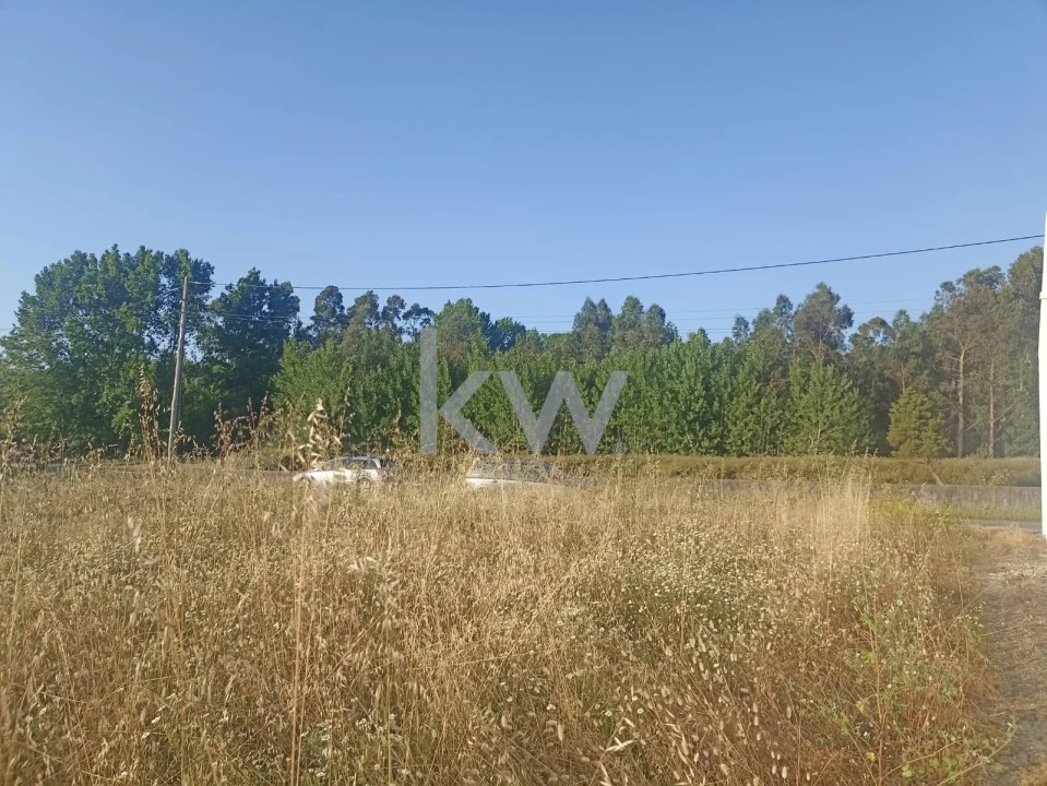 Terreno para Venda em Mira Foto 4