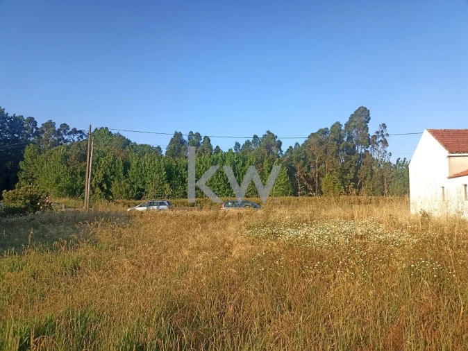 Terreno para Venda em Mira Foto 3