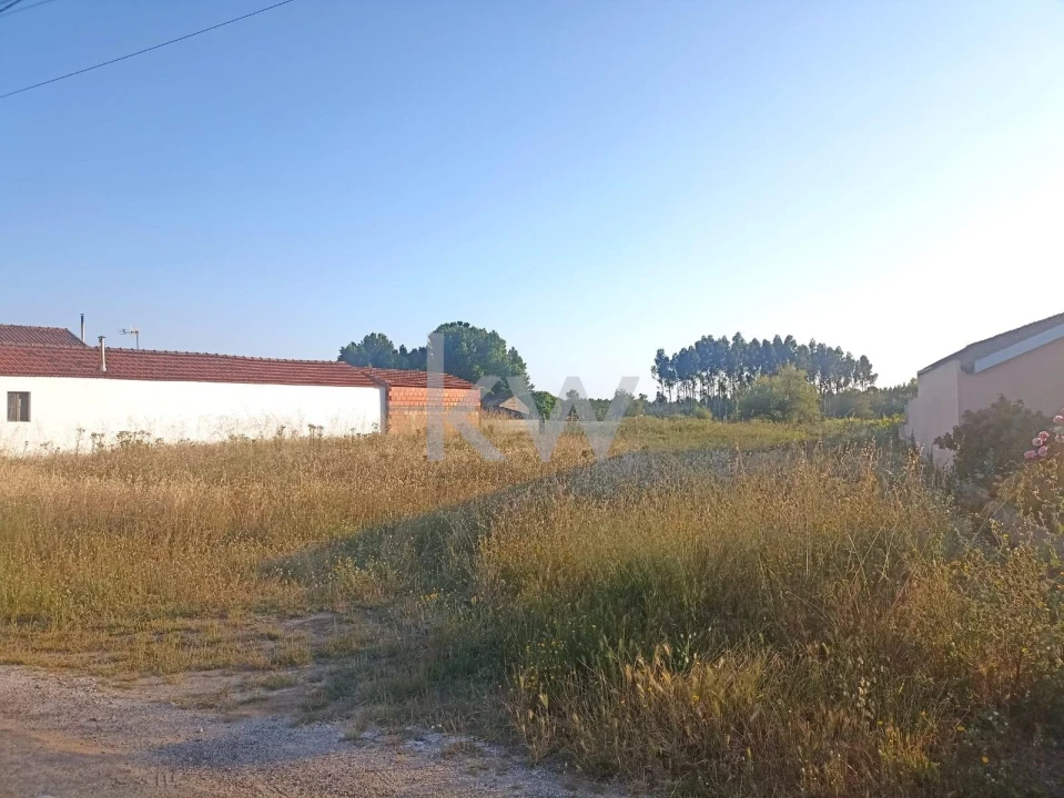 Terreno para Venda em Mira Foto 1