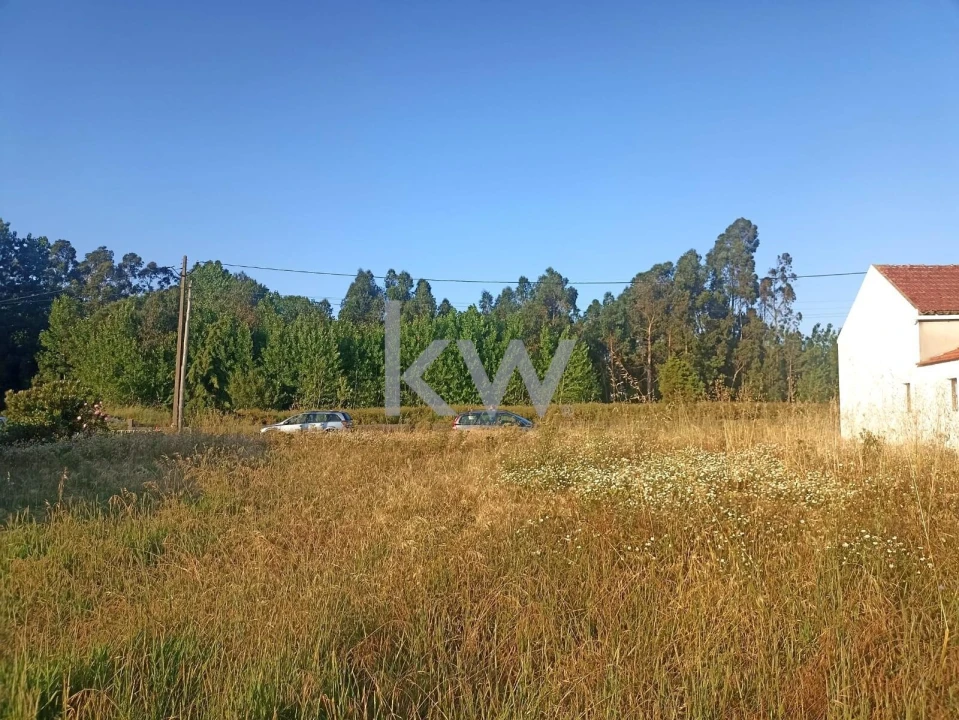 Terreno para Venda em Mira Foto 3