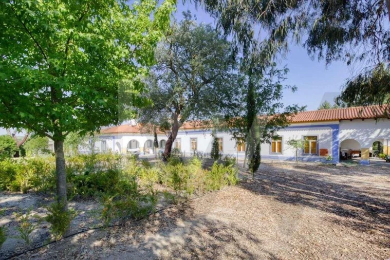 Negócio para Venda em Raposa Foto 2