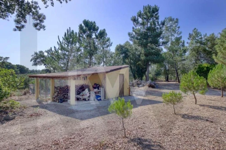 Negócio para Venda em Raposa Foto 89