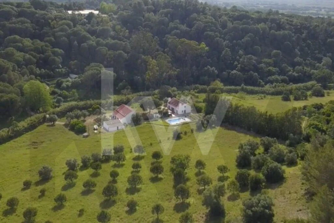 Quinta T9 para Venda em Azeitão (São Lourenço e São Simão) Foto 57