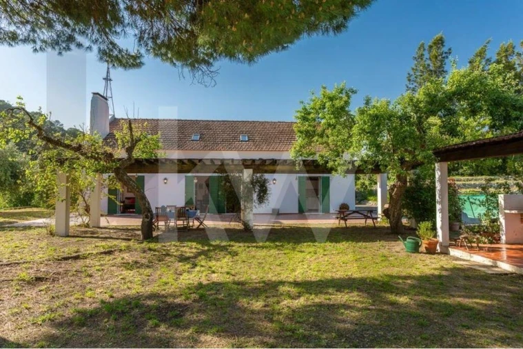 Quinta T9 para Venda em Azeitão (São Lourenço e São Simão) Foto 1