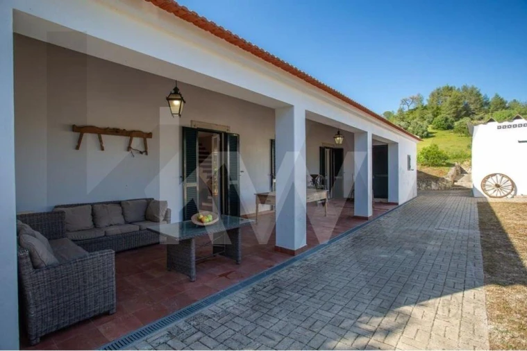 Quinta T9 para Venda em Azeitão (São Lourenço e São Simão) Foto 10