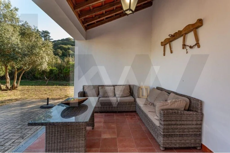 Quinta T9 para Venda em Azeitão (São Lourenço e São Simão) Foto 34