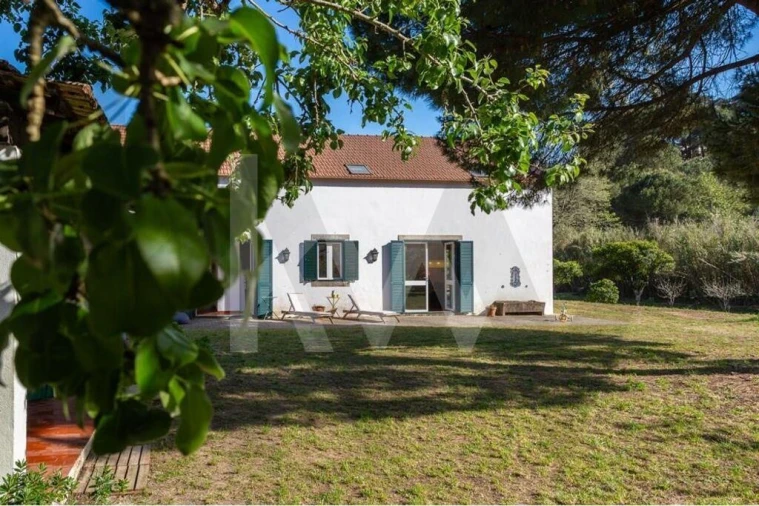 Quinta T9 para Venda em Azeitão (São Lourenço e São Simão) Foto 32