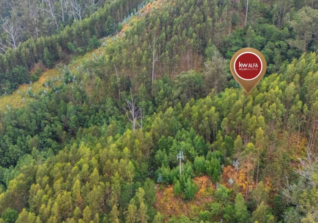 Terreno para Venda em Monte Foto 5
