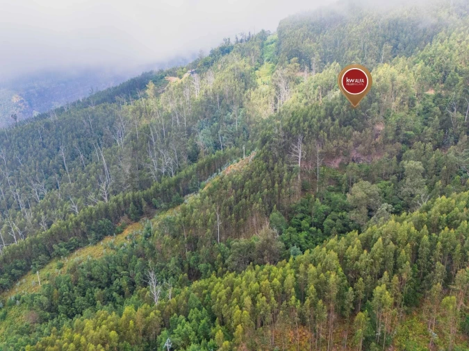 Terreno para Venda em Monte Foto 14