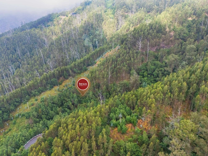 Terreno para Venda em Monte Foto 12