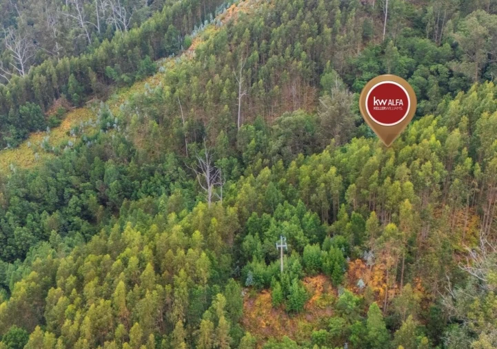 Terreno para Venda em Monte Foto 5