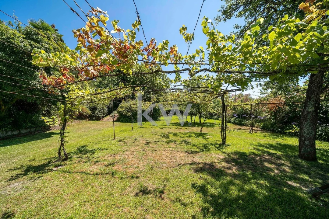 Negócio para Venda em Caldelas, Sequeiros e Paranhos Foto 47