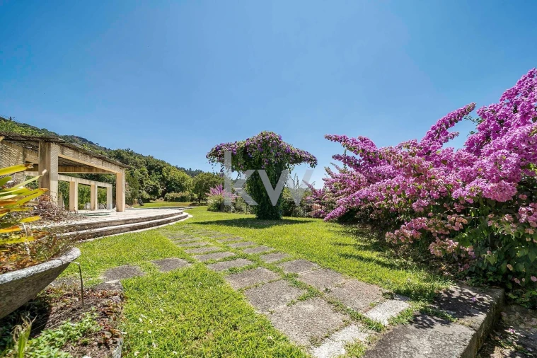 Negócio para Venda em Caldelas, Sequeiros e Paranhos Foto 37