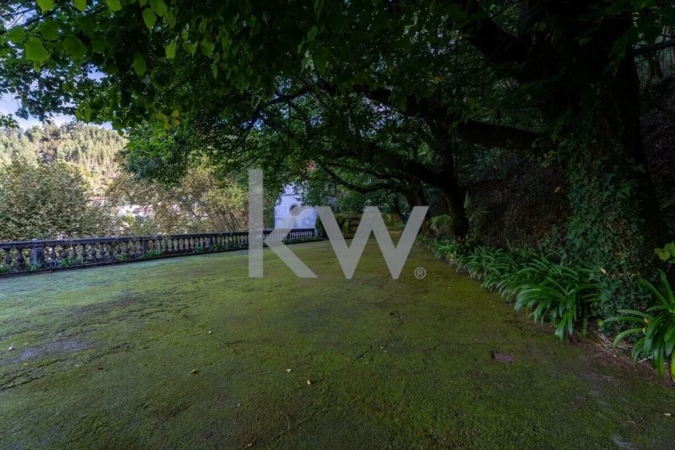 Negócio para Venda em Caldelas, Sequeiros e Paranhos Foto 17