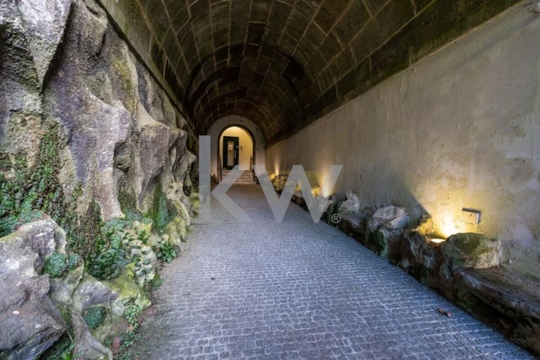 Negócio para Venda em Caldelas, Sequeiros e Paranhos Foto 19