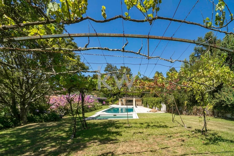 Negócio para Venda em Caldelas, Sequeiros e Paranhos Foto 48