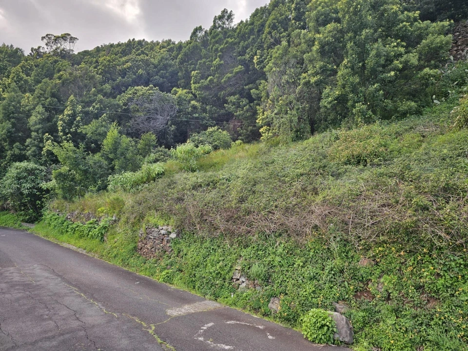 Terreno para Venda em Gaula Foto 3