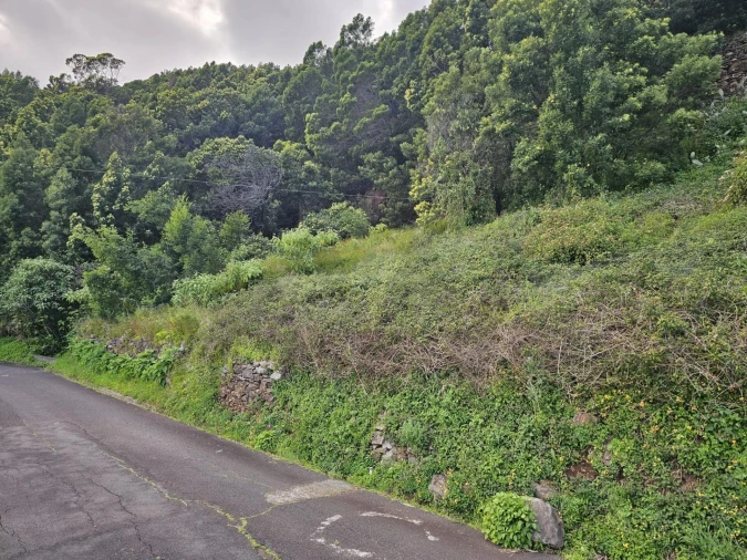 Terreno para Venda em Gaula Foto 3