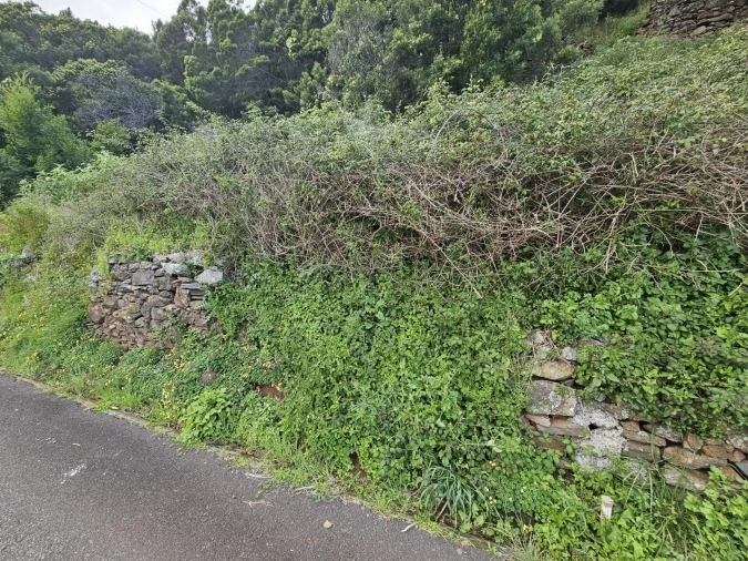 Terreno para Venda em Gaula Foto 5